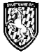 Stuttgart FC II